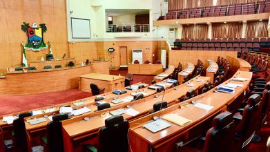 Lagos Assembly asks Sanwo-Olu to fund boy with missing intestine treatment