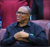 Nigerians spend $1.5bn on medical tourism annually -Peter Obi